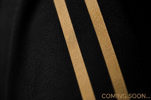 The “GOLD STANDARD” Hoodie